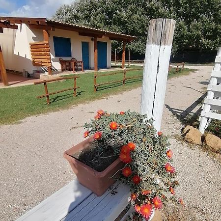 Agriturismo Oca Giuliva Lido dei Pini Exterior foto